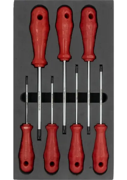 Izeltaş 4776 00 8107 Delikli Torx Uçlu Tornavida Seti 7 Parça