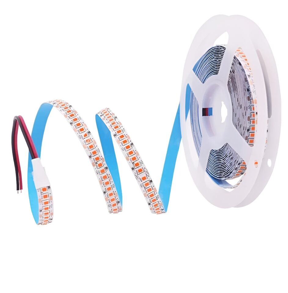 Cata CT-4539 Premium 24 Volt 240 Ledli İç Mekan Şerit Led Aydınlatma AMBER