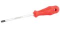 Torx®  Uçlu Tornavida